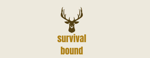 survivalbound - survivalbound